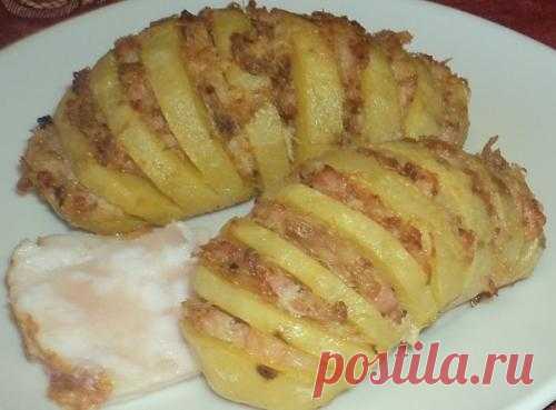 Картофельная "гармошка" с куриным фаршем
