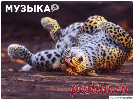 Иностранные трэки, заслуживающие прослушивания