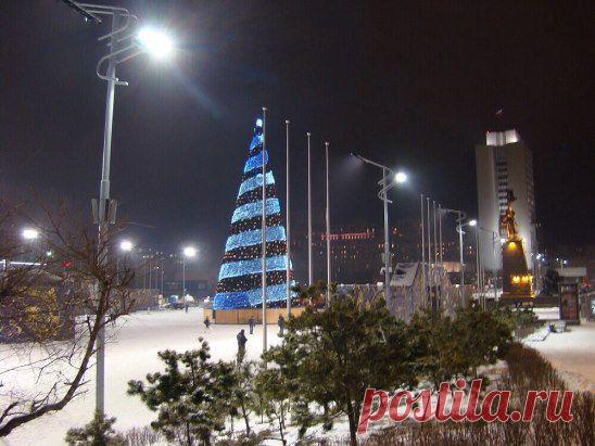 Владивосток - это удивительный город! Только у нас наши граждане, глядя на елку на Центральной площади, думают не о ее красоте, а о том, упадет она в этом году или нет
