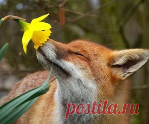 Панель управления | Вдохновляющие и прикольные картинки на каждый день | We Heart It