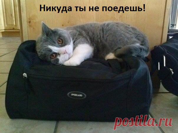Афоризмы и цитаты 04 часть 11