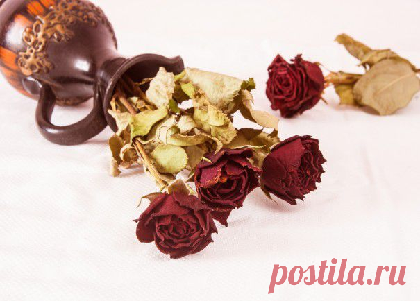 Как продлить жизнь букетов | Лайфхакер