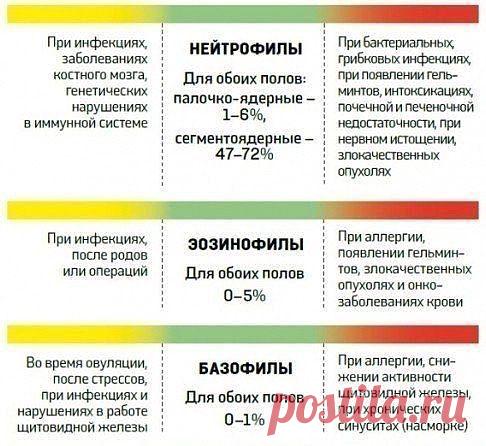 О чем расскажет анализ крови 

Каждый из нас хотя бы раз в жизни сдавал кровь и получал на руки листочек бумаги с буквами, цифрами и единицами измерения. Затем врач, быстренько взглянув на результаты, объявлял: «С вами все нормально», или «Вы больны». Причем сами вы, сколько ни старались и ни пытались забежать вперед и узнать, что с вами случилось, наверняка с трудом понимали, что означают те или иные буквы. На самом деле все не так сложно.