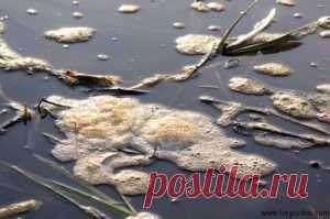Грязная река | Заводной Грифель