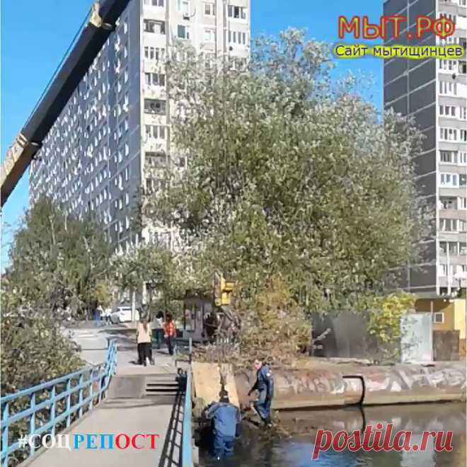 Мытищи Яуза Водолазы достают тяжелый корень из реки