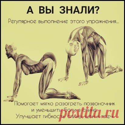 Теперь будете знать