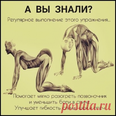 Теперь будете знать