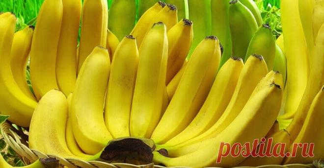 banany-pri-zaporakh.jpg (770×400)