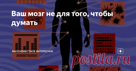 Ваш мозг не для того, чтобы думать