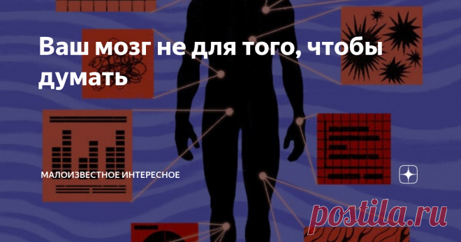Ваш мозг не для того, чтобы думать
