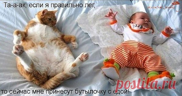 К приёму пищи готов!