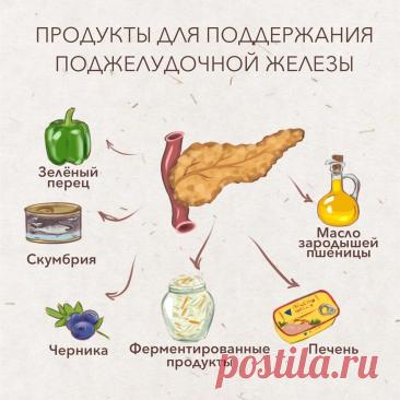 Продукты для поддержания поджелудочной железы