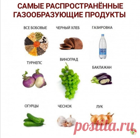 Газообразующие продукты