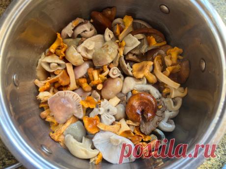 Универсальный рецепт - летнее грибное ассорти солено - квашеное, быстрого приготовления | Книга грибов | Дзен