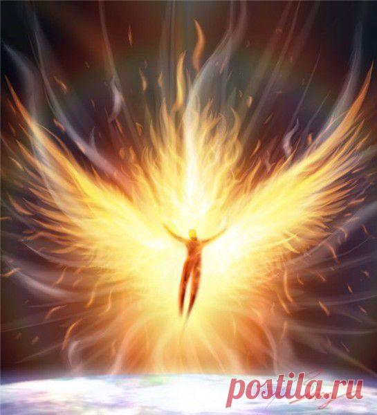 Мудрый охотней умрет, чем будет взывать к состраданию. Огонь скорее потухнет, чем станет холодным.