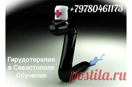 Гирудотерапия, продажа пиявок медицинских, обучение с выдачей сертификата государственного образца. Севастополь № 777387