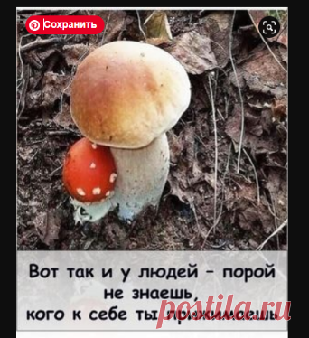 proxy.imgsmail.ru (300×370)