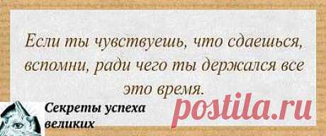 Не сдавайся!