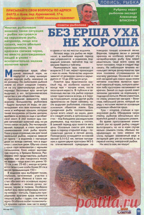 Без ерша уха не хороша