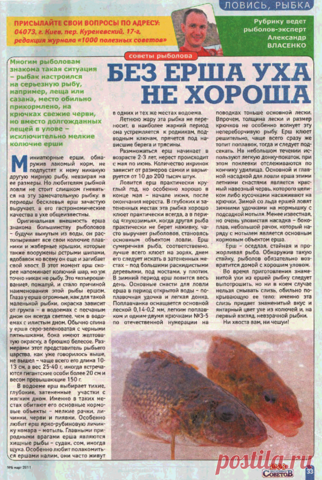 Без ерша уха не хороша
