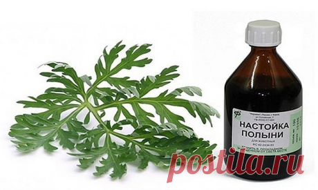 Полынь - лекарство от многих болезней!

Полынь - это сильнейшее средство дано для быстрого приведения больных в порядок.

Лечение полынью очищает тело от всяких вредных организмов, находящихся в нем (это разного рода простейшие - трихомонады, хламиды, герпес, кандида, лямблии, эхинококковая инфекция)., излечивает бессоницу, нервные болезни и восстанавливает обмен веществ, в результате чего исчезает ожирение и лишний вес.

Полынная терапия снимает почти все воспалительные п...