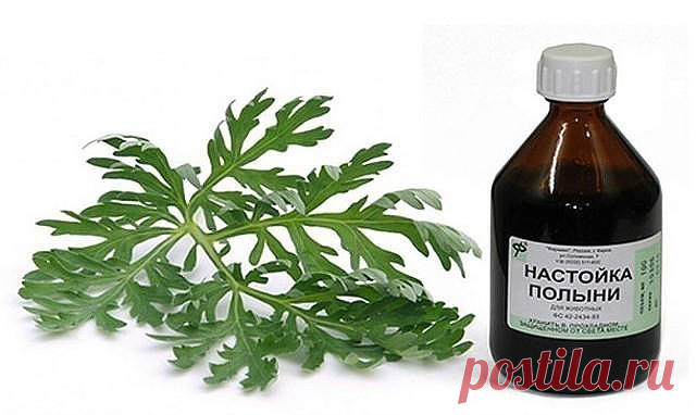 Полынь - лекарство от многих болезней!

Полынь - это сильнейшее средство дано для быстрого приведения больных в порядок.

Лечение полынью очищает тело от всяких вредных организмов, находящихся в нем (это разного рода простейшие - трихомонады, хламиды, герпес, кандида, лямблии, эхинококковая инфекция)., излечивает бессоницу, нервные болезни и восстанавливает обмен веществ, в результате чего исчезает ожирение и лишний вес.

Полынная терапия снимает почти все воспалительные п...