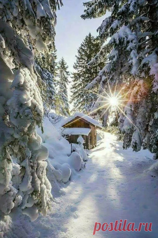 Google+