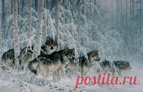 Мой Мир@Mail.Ru