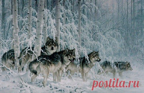 Мой Мир@Mail.Ru