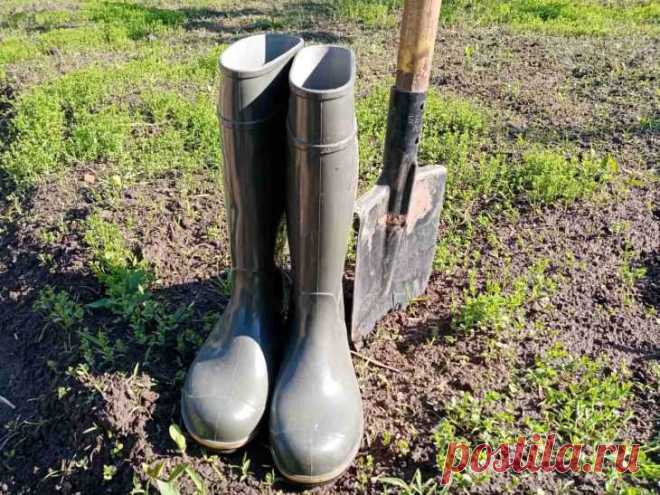 Лунный календарь огородника и садовода с 28 октября по 3 ноября: что обязательно нужно сделать. Рассказываем, какие работы на участке следует провести с 28 октября по 3 ноября согласно лунному календарю.