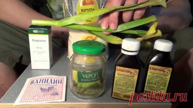 Лучшие варианты ароматизаторов для карася – Рыбалке.нет