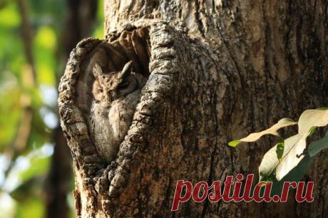 37 фотографий о том, что природа нас любит