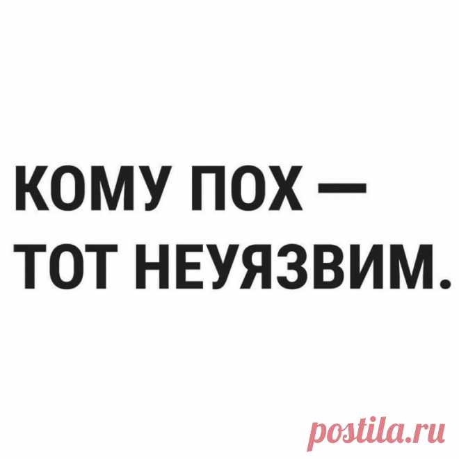 В точку! Великолепные цитаты! / Писец - приколы интернета