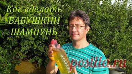 Как сделать БАБУШКИН ШАМПУНЬ