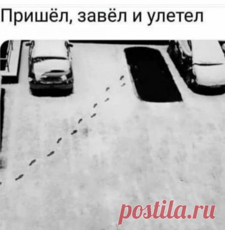 «Возможно, это изображение (текст «пришёл, завёл и улетел»)» — карточка пользователя Татьяна Кармишина в Яндекс.Избранном