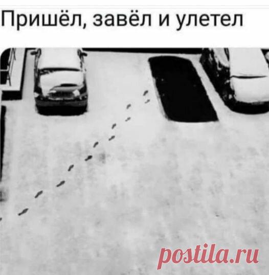 «Возможно, это изображение (текст «пришёл, завёл и улетел»)» — карточка пользователя Татьяна Кармишина в Яндекс.Избранном