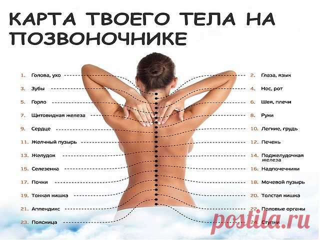 Узнай, как связан позвоночник с другими органами. Причина болей в спине может оказаться сюрпризом

В позвоночнике человека 24 позвонка и 31 пара нервных окончаний. Каждый из этих позвонков функционально, или рефлекторно, связан с соответствующим органом или системой организма. Проблема в каком-либо органе может привести к хроническим, вялотекущим процессам или к нарушению проводимости нервного импульса в соответствующих зонах их прямой проекции — позвонках.
Карта тела на п...
