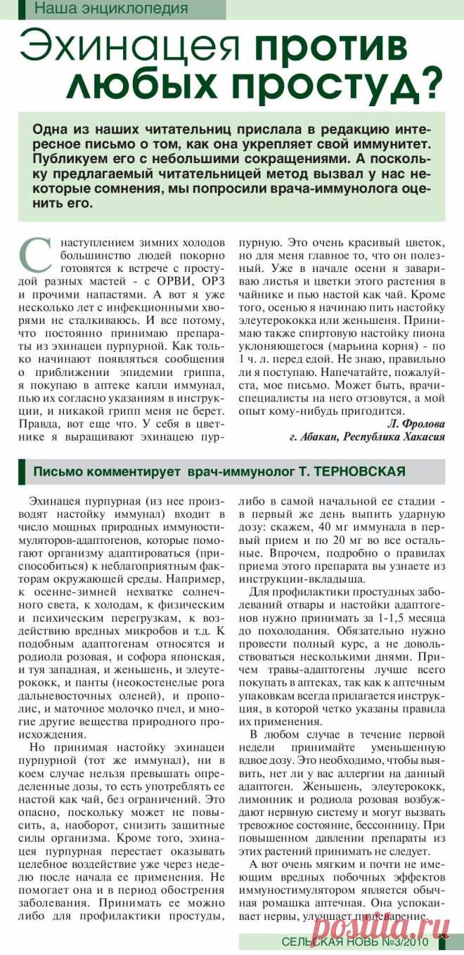 Как правильно укреплять иммунитет