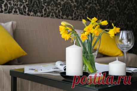 Дело пахнет продажей - N1.Архангельск