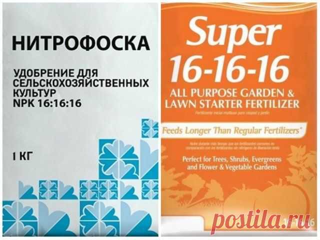 NРK – что это такое, как определить состав и количество удобрения | Удобрения и стимуляторы (Огород.ru)