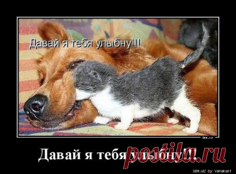 И чего ты такой грустный лежишь ?)))
