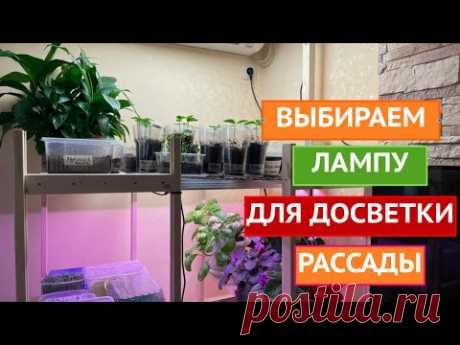ОРГАНИЗУЕМ МЕСТО ДЛЯ РАССАДЫ ПРАВИЛЬНО! ЛУЧШИЕ ВАРИАНТЫ ДЛЯ ДОСВЕТКИ РАССАДЫ!