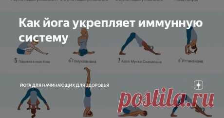 Как йога укрепляет иммунную систему Статья автора «Йога для начинающих для здоровья» в Дзене ✍:   Задумывались ли вы когда-нибудь о том, что йога – это не просто упражнения на гибкость, а мощный инструмент для укрепления иммунной...