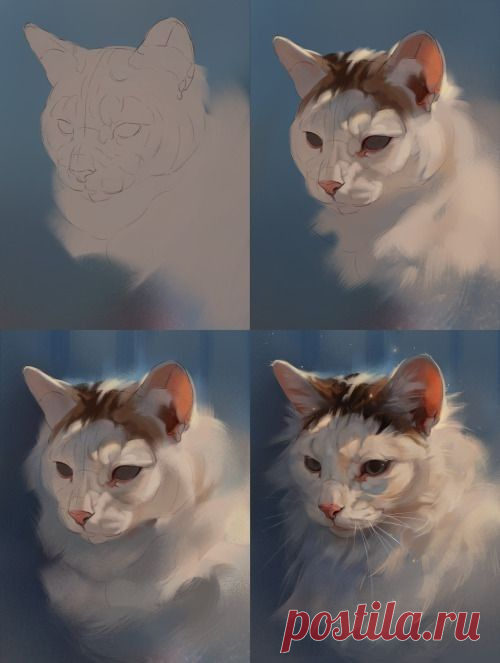 Рисунок. Этапы. Кошка.