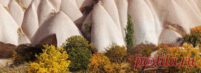 Музыка цвета | Акция на Westwing