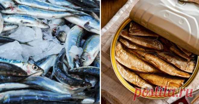 Шпроты из салаки: как приготовить консервы в домашних условиях – рецепт | FoodOboz Шпроты из салаки и мойвы, как приготовить шпроты в домашних условиях, шпроты в духовке, шпроты на сковороде без выпечки