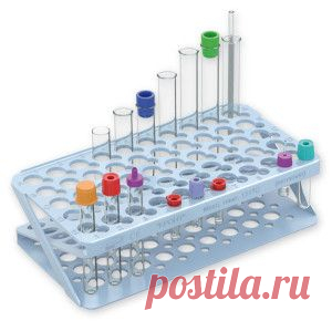 Исследование плодово ягодного сока перед виноделием