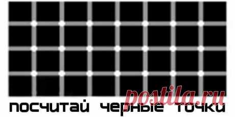 Фотографии ✿ܓЕлена Н. - 7164 фото в Моем Мире.