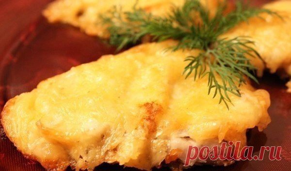 Нежная говядина с сыром в сметане — удивите родных 


Очень вкусно и быстро!









Ингредиенты (на 4 порции):
говяжья вырезка — 800 гсыр — 100 гсметана — 100 гспециисоль
Приготовление:
Нарезаем говядину порционными кусочками, отбиваем и обжариваем …