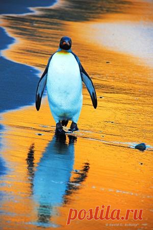 An artist's studio in Oia, Santorini